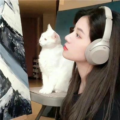 恶灵坎蒂莎