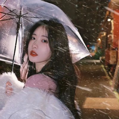 狗狗间谍
